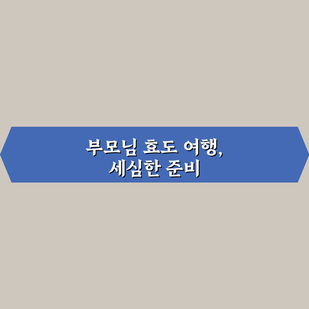 부모님 효도 여행 준비물 챙길 때 놓치기 쉬운 꿀팁
