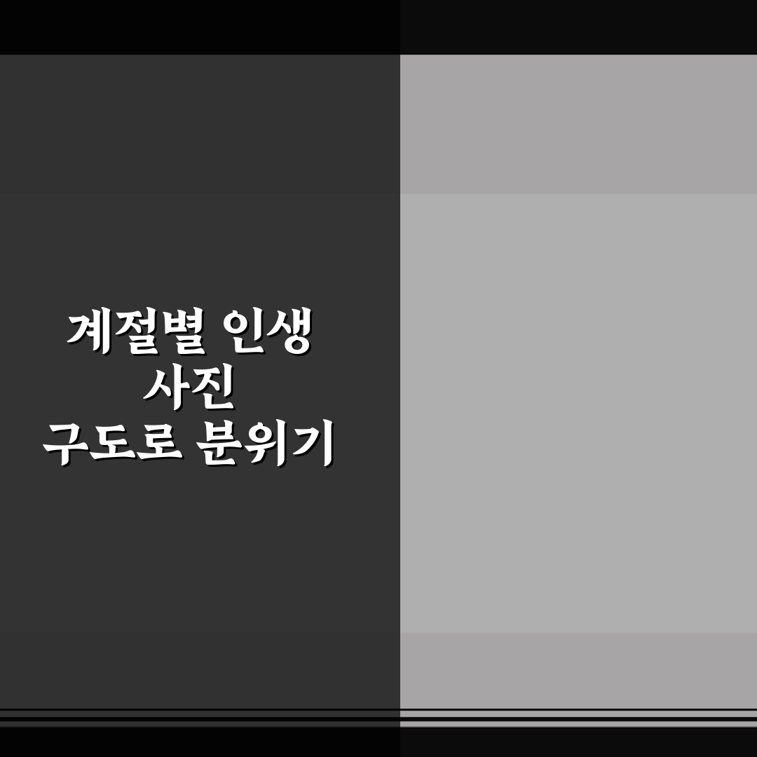 계절별 인생 사진 구도로 분위기 달라지는 촬영 팁 솔직후기