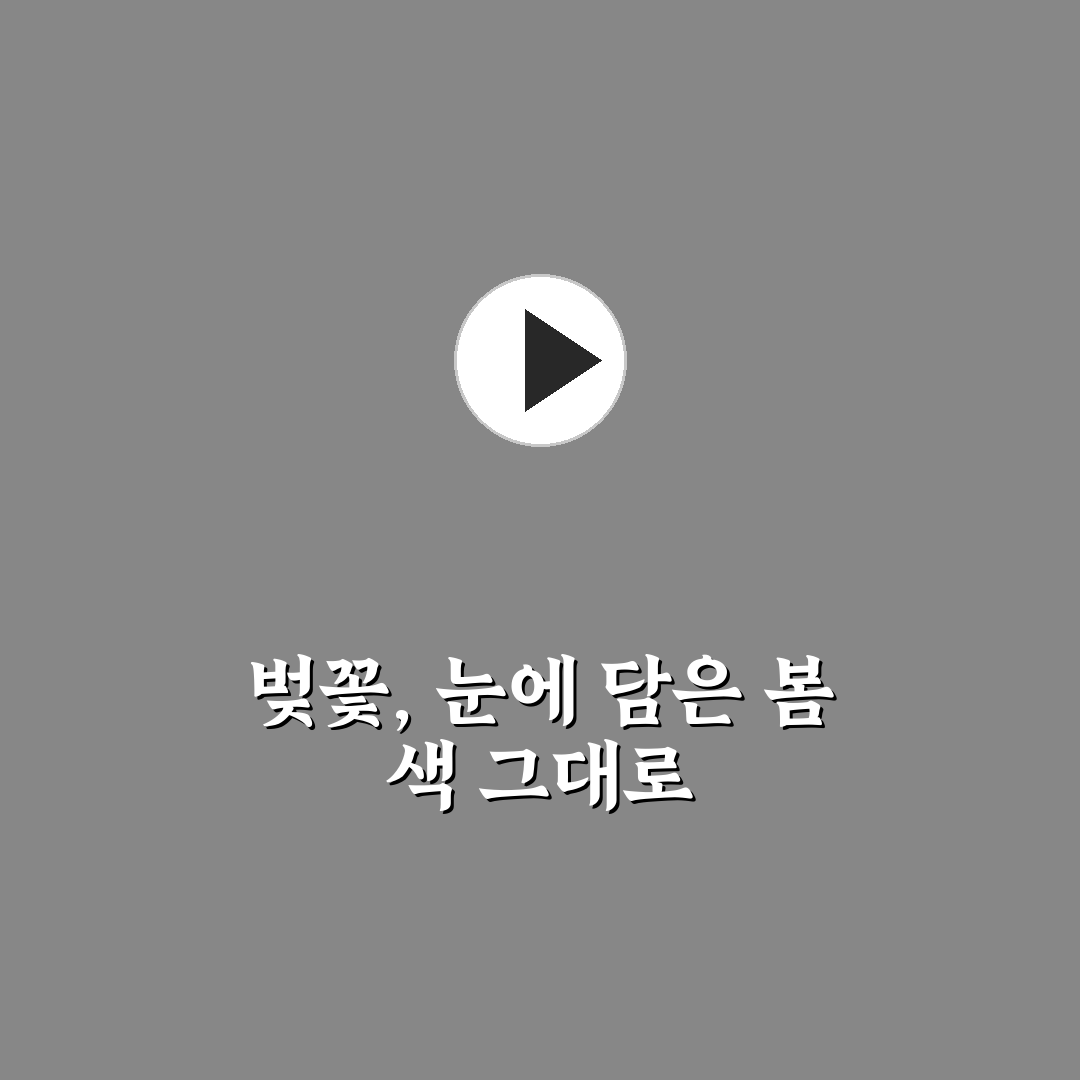 봄의 색감 보정법으로 벚꽃 사진 더 화사하게 만드는 꿀팁