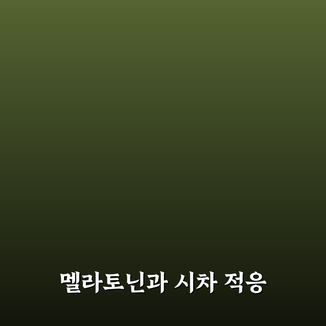 멜라토닌 시차 적응에 효과 있을까 복용 타이밍 5가지 핵심가이드
