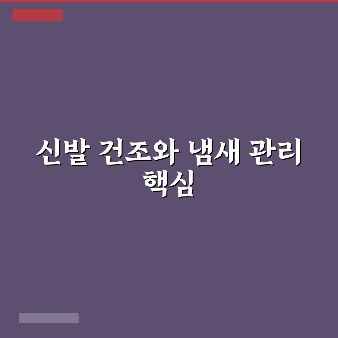 장마철 신발 건조 빠르게 하는 방법과 냄새 예방법 5가지 핵심가이드
