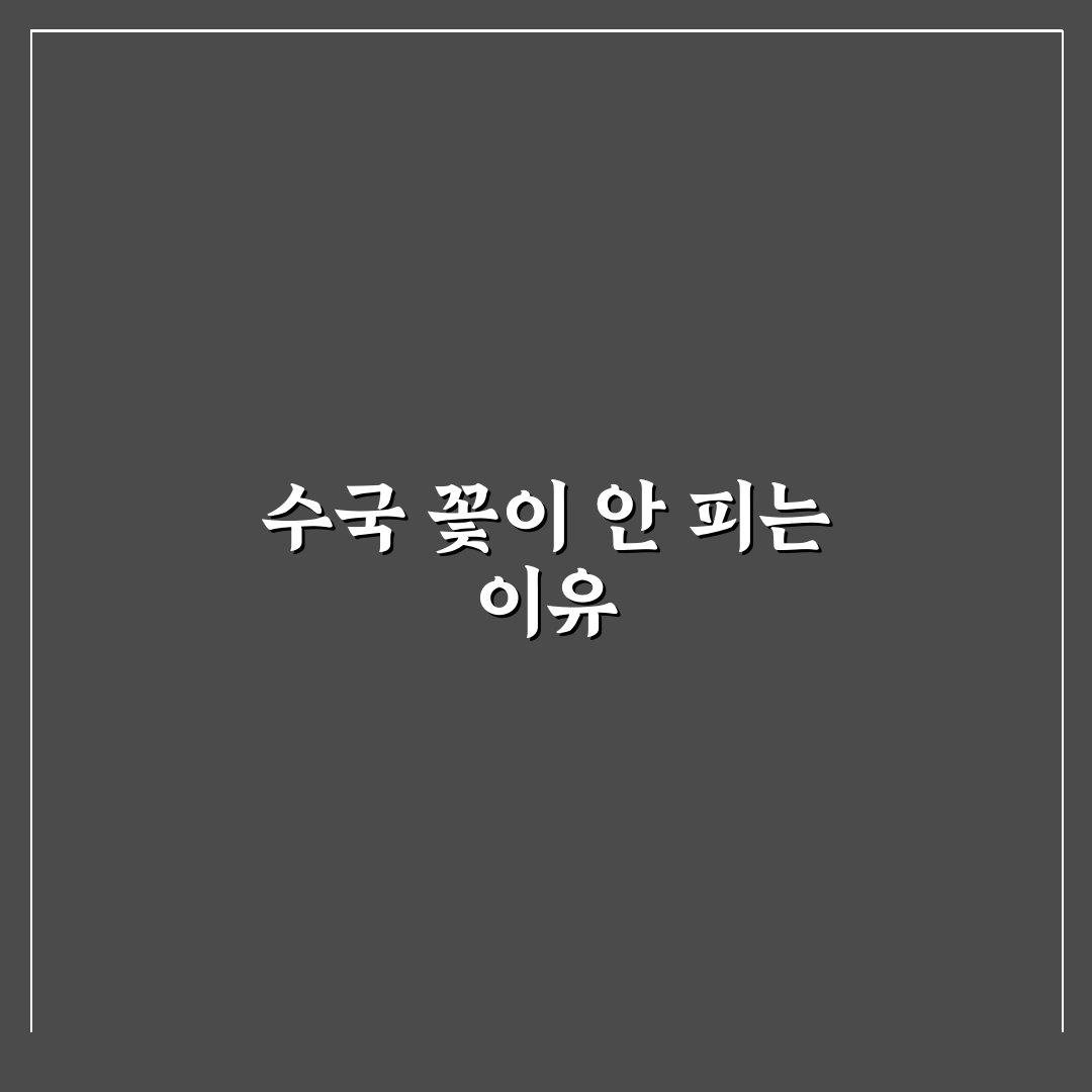 수국 꽃이 안 펴요 원인과 해결 꿀팁 알려드려요