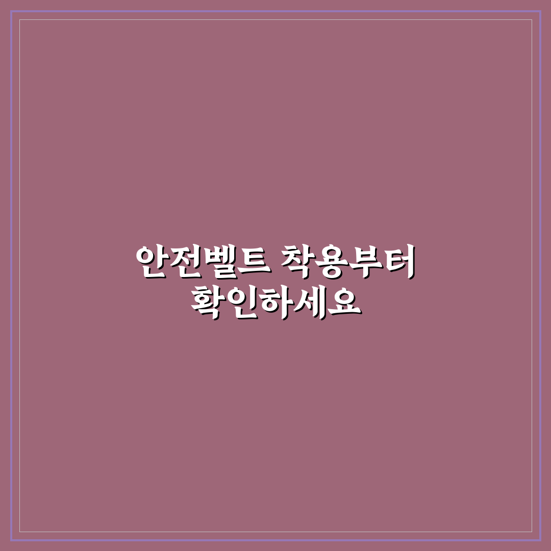 안전벨트 착용 필수 이유와 뒷좌석 과태료 기준 5가지 핵심가이드