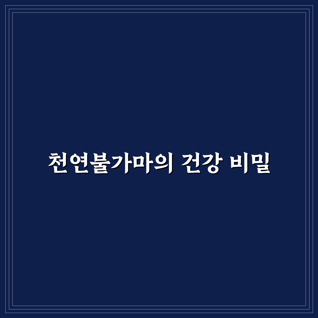 실로암불가마 사우나 이용 꿀팁과 후기 정리