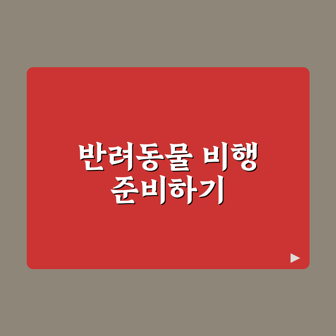 반려동물 기내 동반 기준과 서류 준비 5가지 핵심가이드 총정리