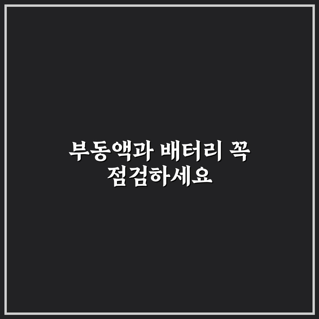 부동액 배터리 점검으로 겨울 출발 전 사고 줄이는 법 5가지 체크포인트 총정리