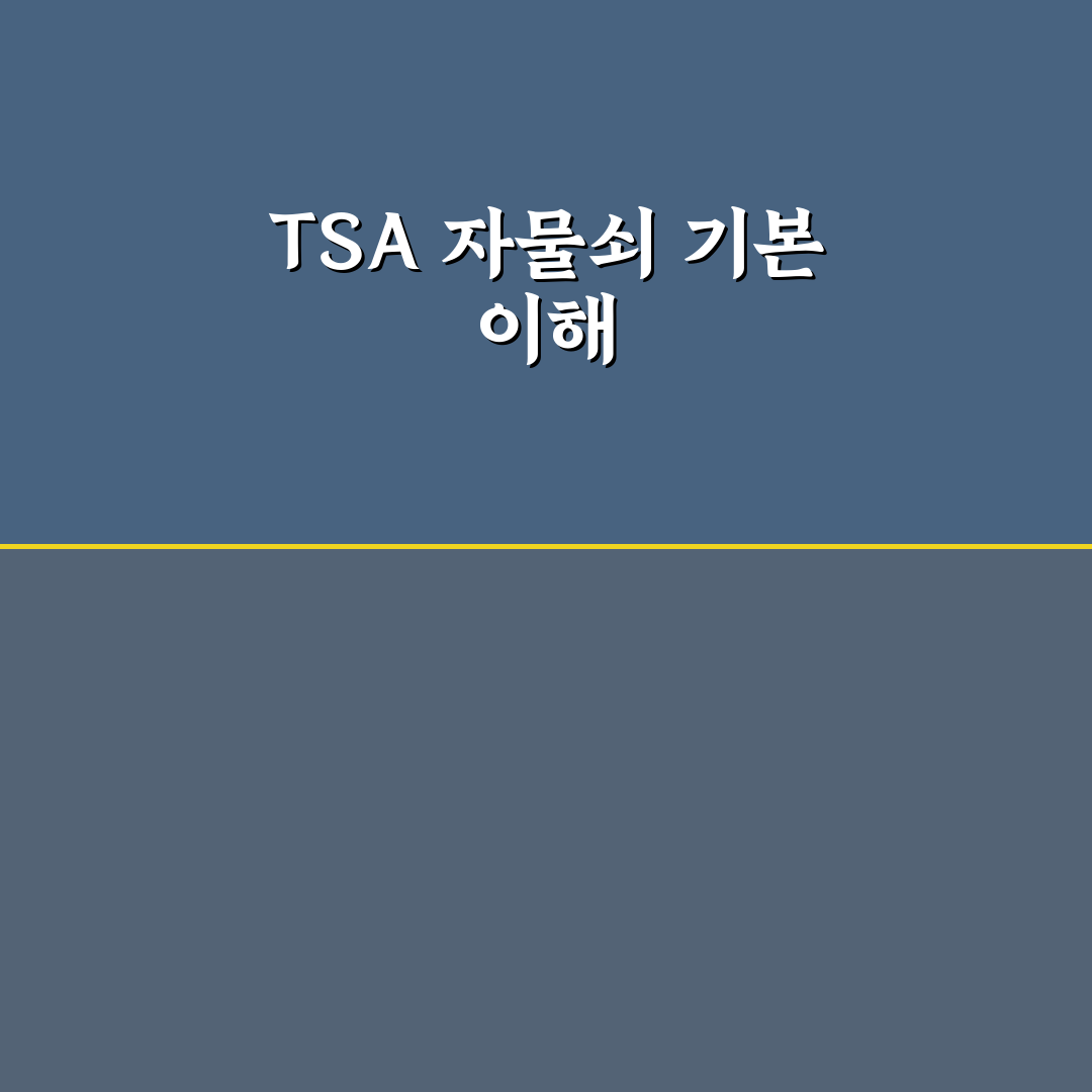 TSA 자물쇠 달린 여행용 가방 잠금장치 비교와 선택 기준 총정리