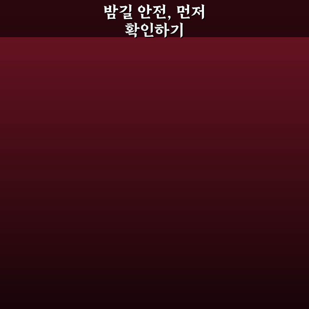 혼자 여행 안전 체크리스트로 밤 이동 걱정 줄이는 법 7가지 핵심가이드
