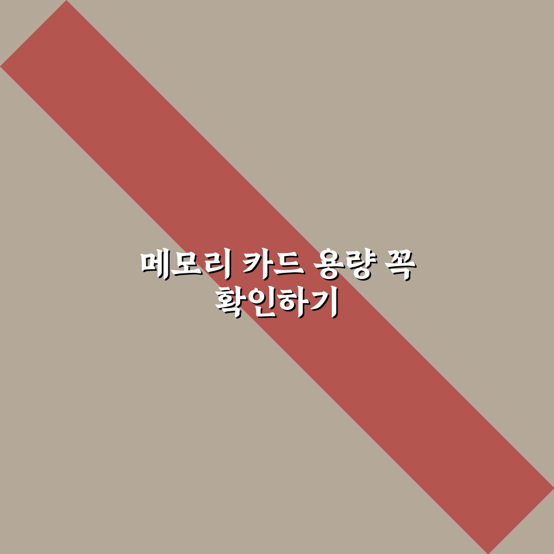 메모리 카드 용량 확인 안 하면 생기는 촬영 실수 5가지 체크포인트 총정리