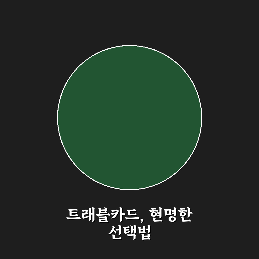 트래블로그 트래블월렛 카드 비교와 상황별 선택 5가지 체크포인트