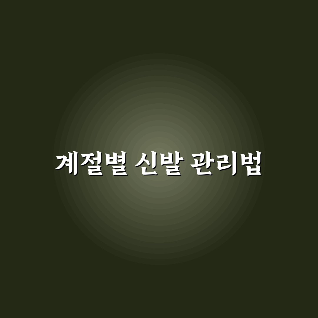계절별 운동화 관리로 냄새와 오염 줄이는 세척 요령 5포인트 핵심가이드