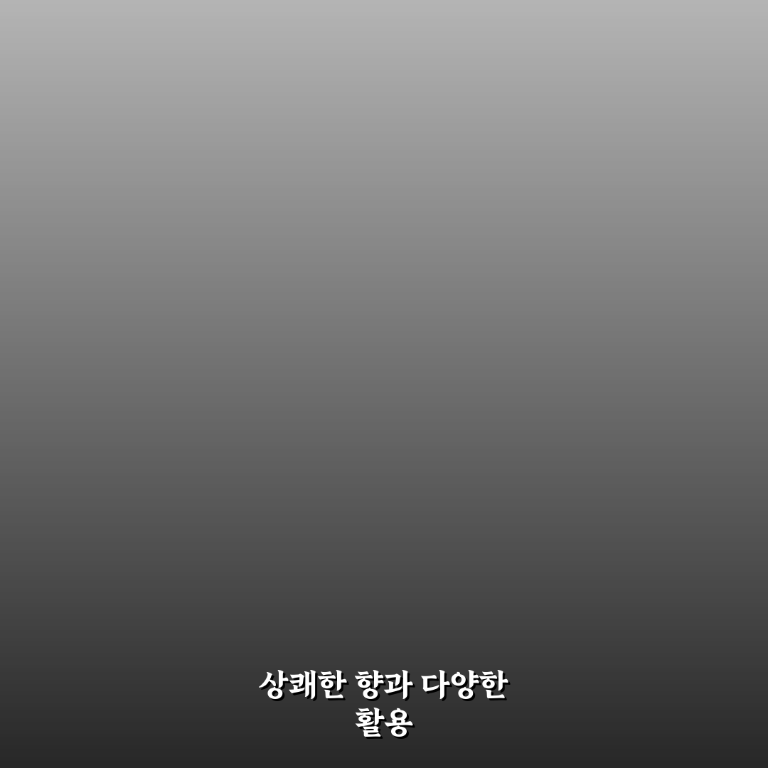 오목교 레몬버베나 활용법과 추천 꿀팁 알려드려요