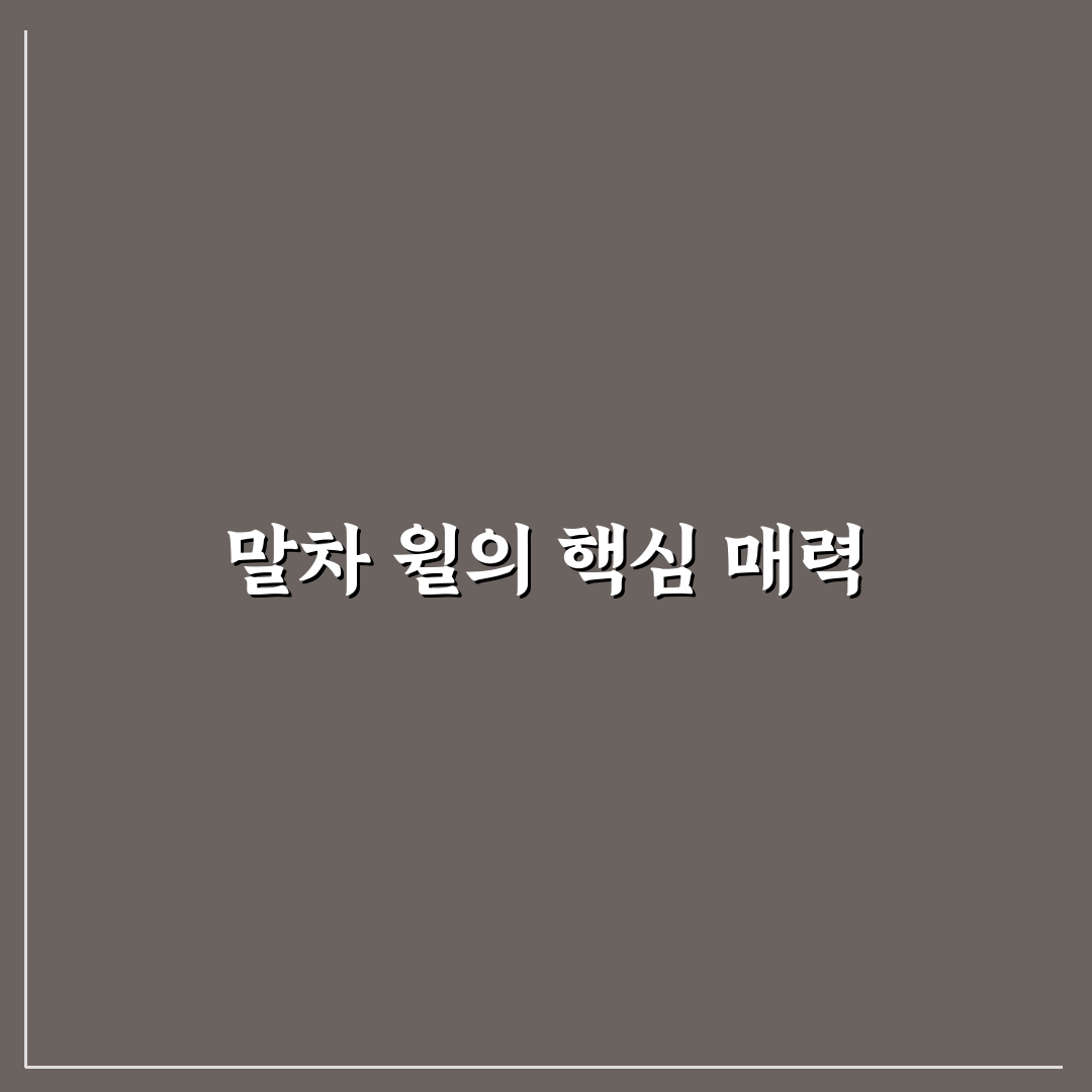 말차 윌 초보자를 위한 활용법과 꿀팁 정리