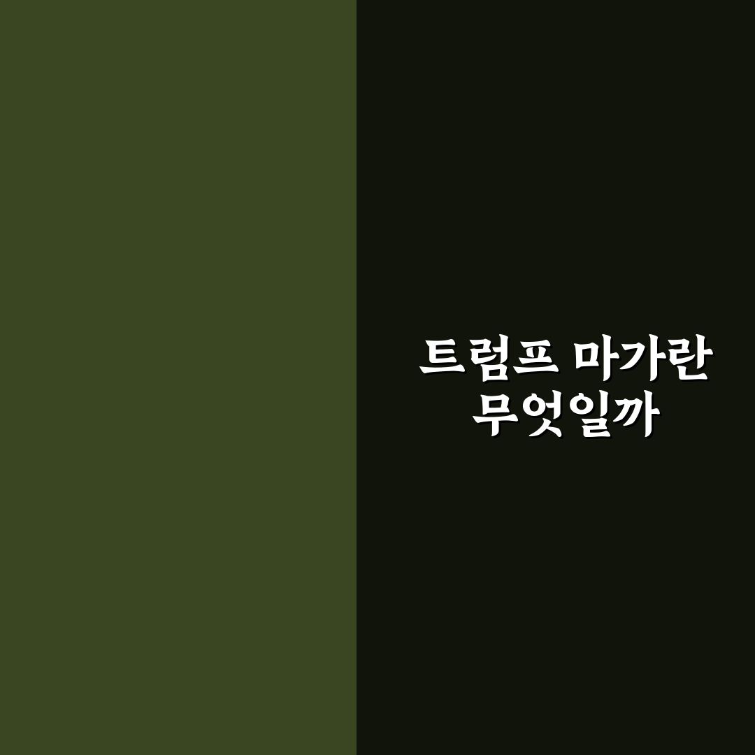 트럼프 마가 뜻과 의미 쉽게 알아보는 정리
