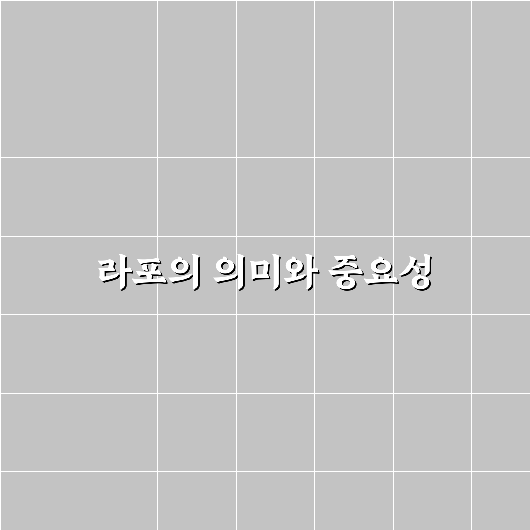 라포소 사용법과 꿀팁 쉽게 정리해 알려드려요