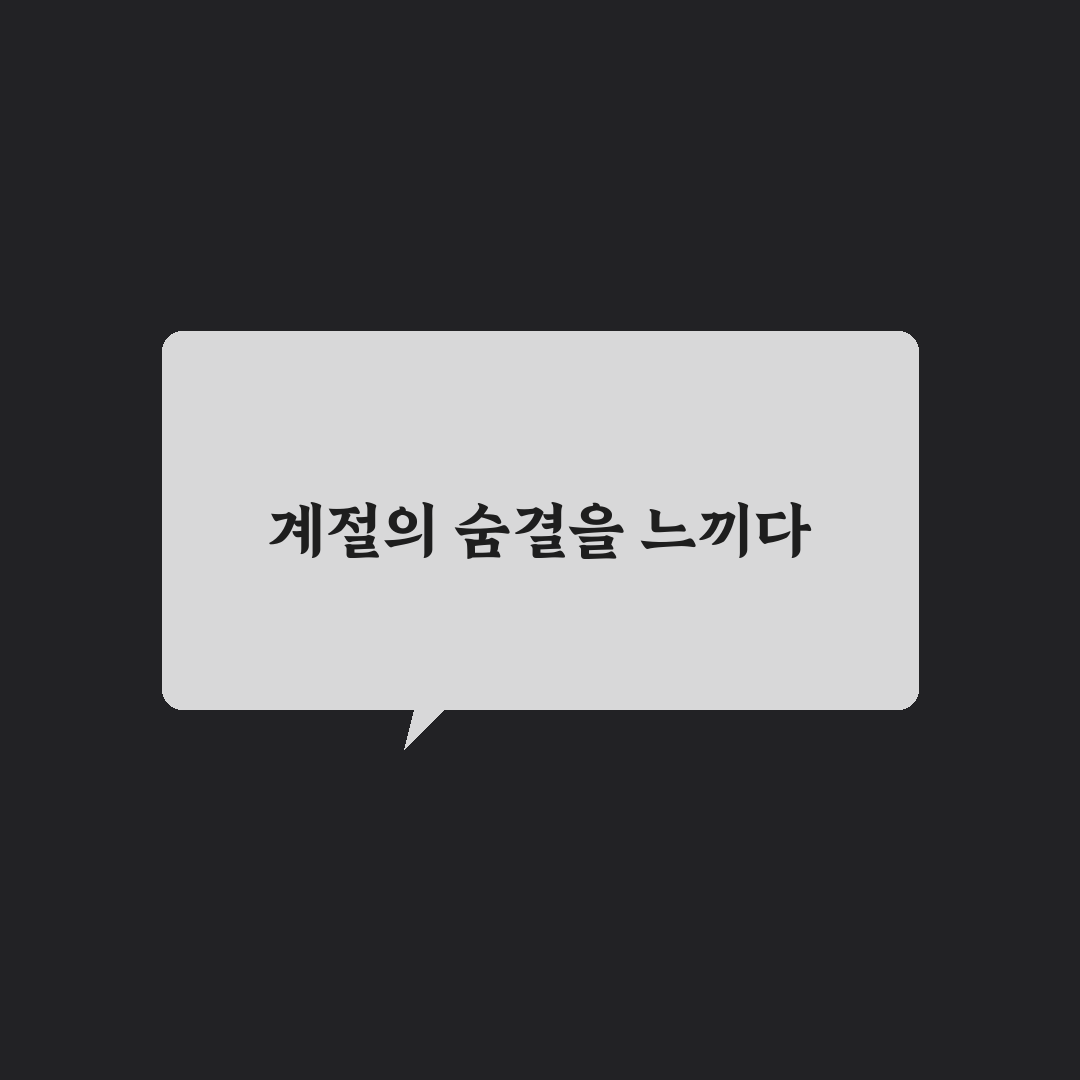 계절 변화를 즐기는 법 알면 같은 곳도 다르게 보이는 5가지 핵심가이드