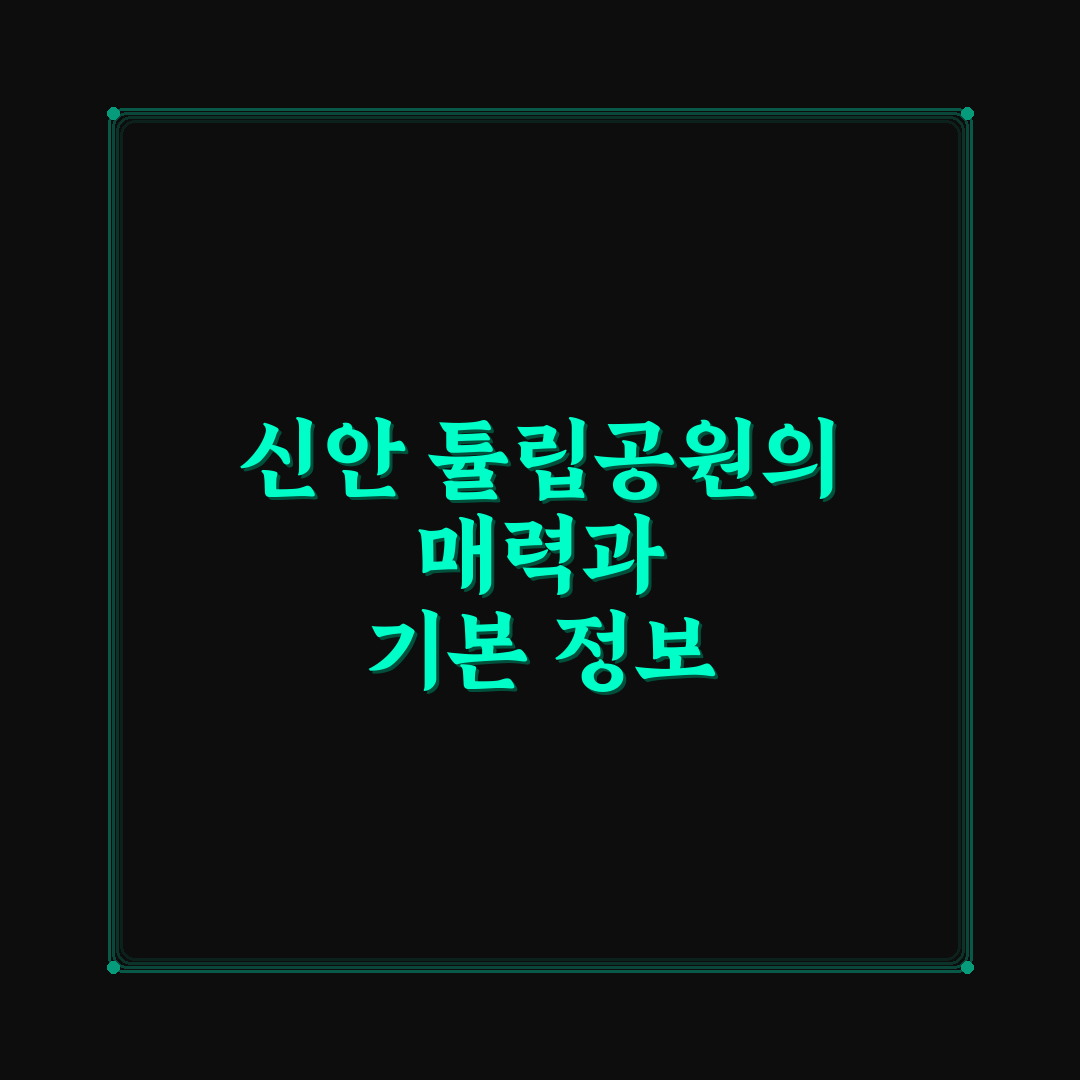 신안 튤립공원 방문 전 꼭 알아야 할 꿀팁 정리