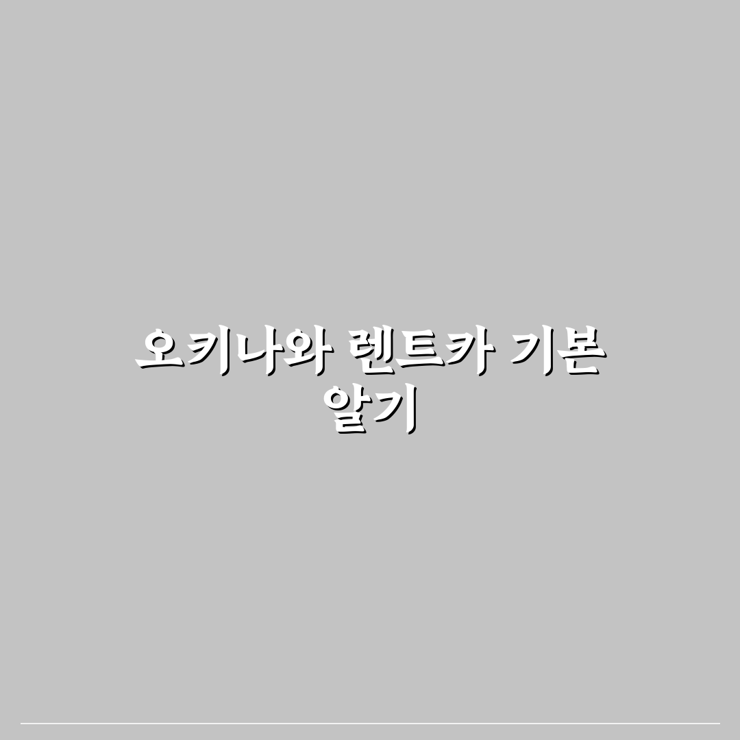 오키나와 타임즈 렌트카 추천과 예약 꿀팁 정리