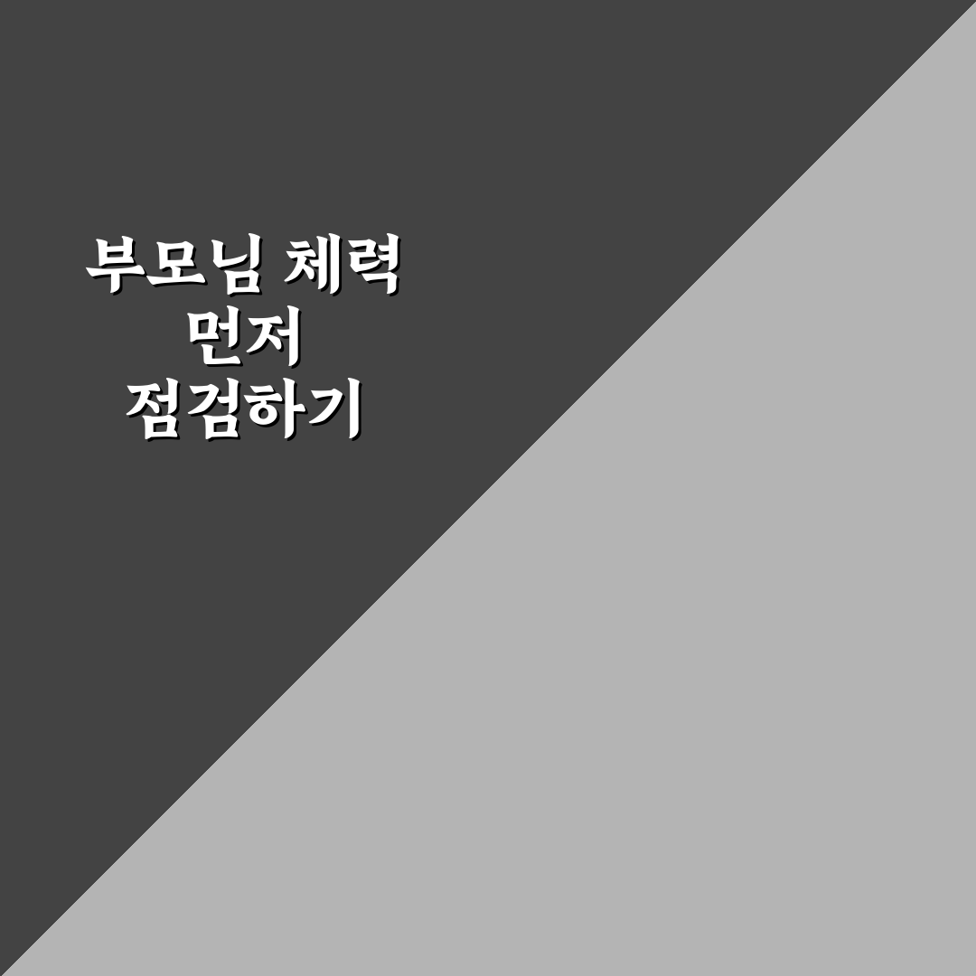 부모님 맞춤형 일정 짜기 전 체력 체크포인트 5가지 핵심가이드