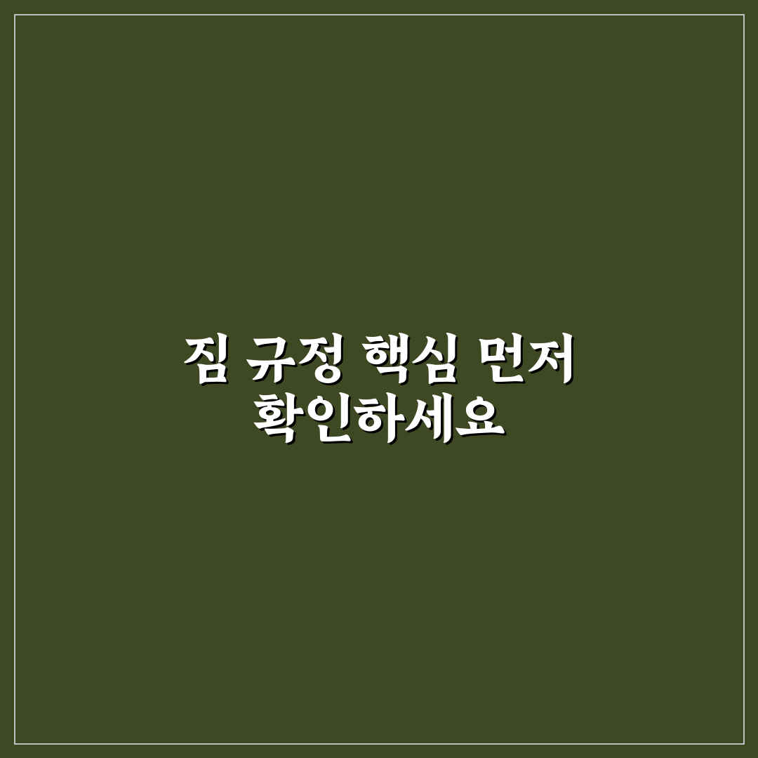 저가 항공사 수하물 규정으로 추가 요금 피하는 5가지 체크포인트 총정리