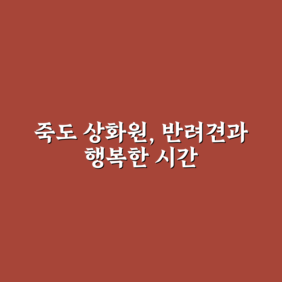 죽도 상화원 애견동반 이용 꿀팁과 방문 후기 정리