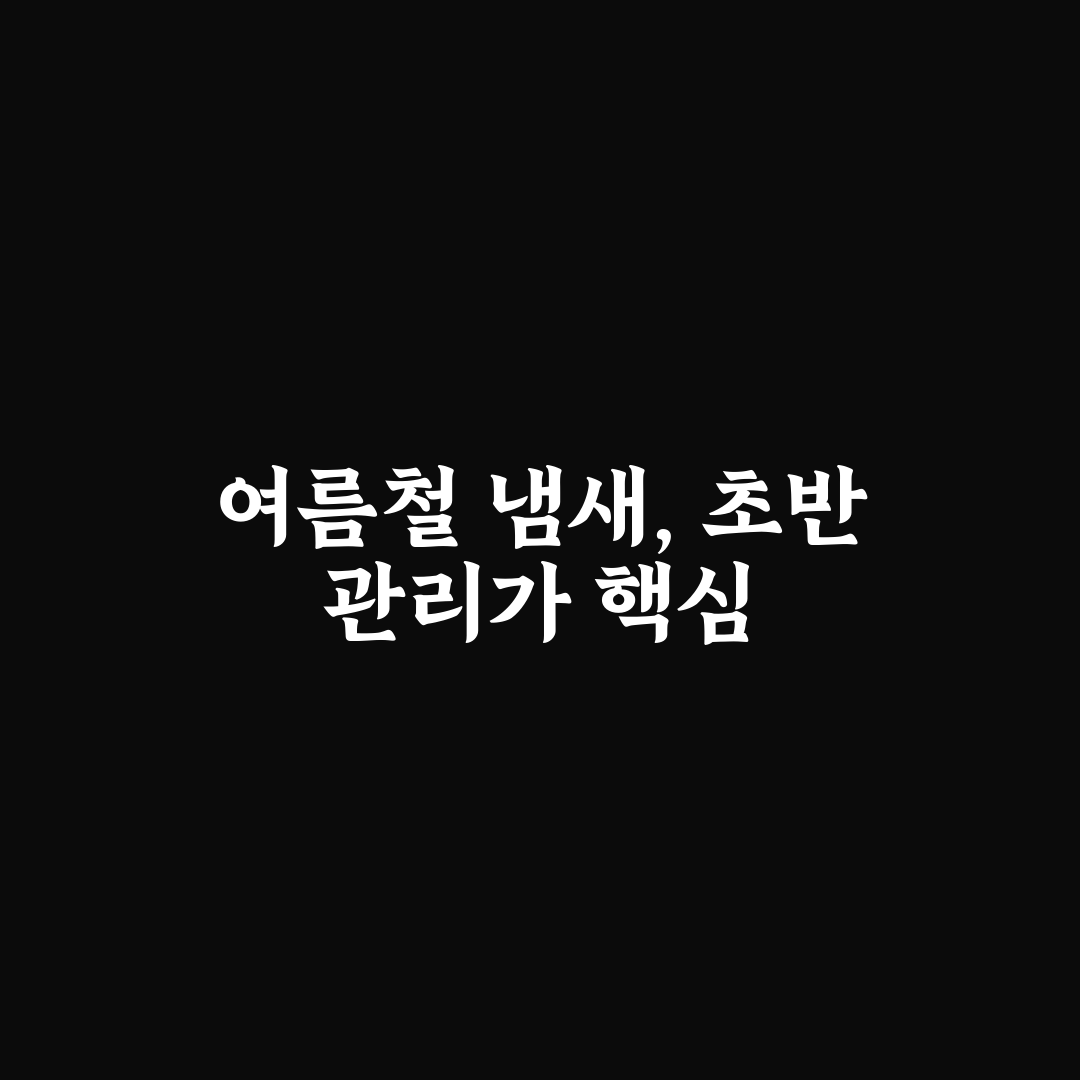 여름철 수영장 소독약 냄새 줄이는 준비물과 대처 요령 5가지 핵심가이드