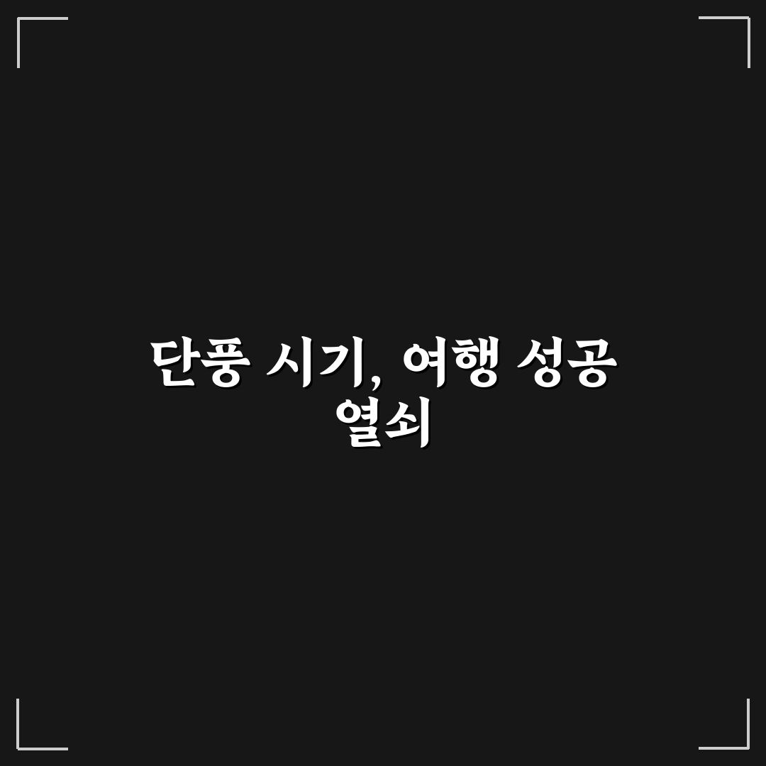 단풍 절정 시기 확인하고 헛걸음 없는 가을 여행 5가지 체크포인트 총정리