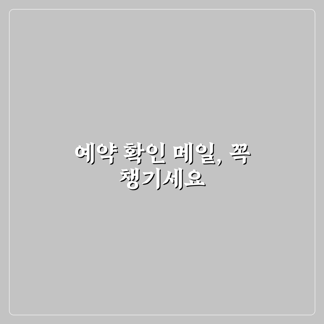 투어 및 액티비티 예약 확인 메일 정리하는 쉬운 방법 5가지 핵심가이드