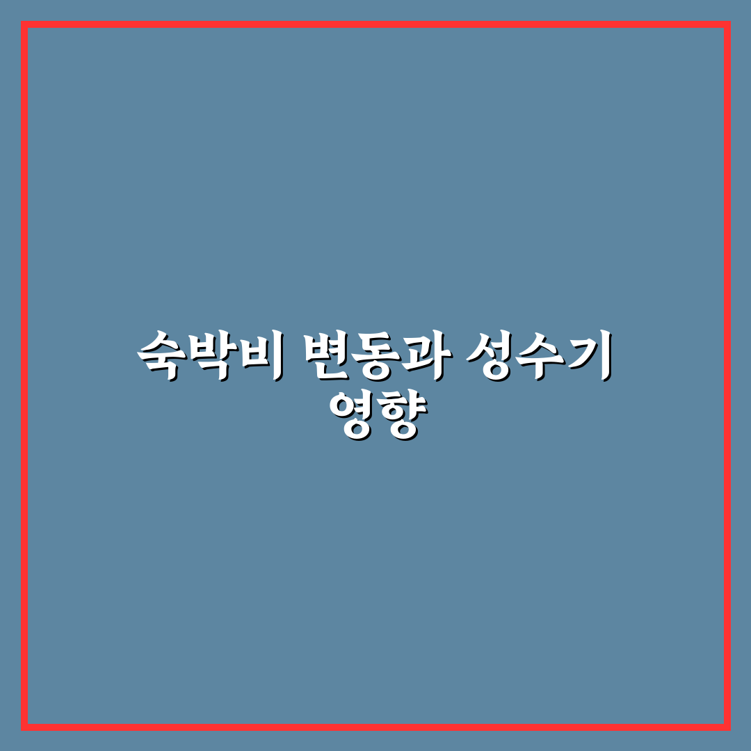 숙박비 변동 확인하고 성수기 피하는 5가지 체크포인트 총정리