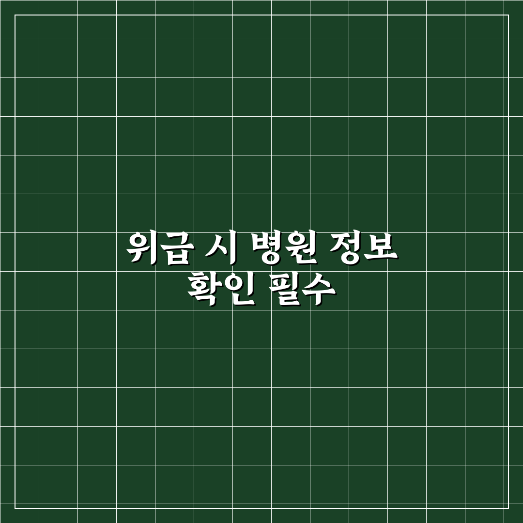 여행지 병원 파악 먼저 해두면 안심되는 순간들 정리 5가지 체크포인트 총정리