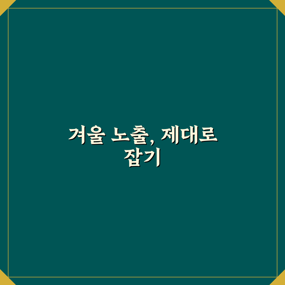 겨울의 화이트 감성 사진 잘 나오는 노출 설정 5가지 체크포인트 총정리