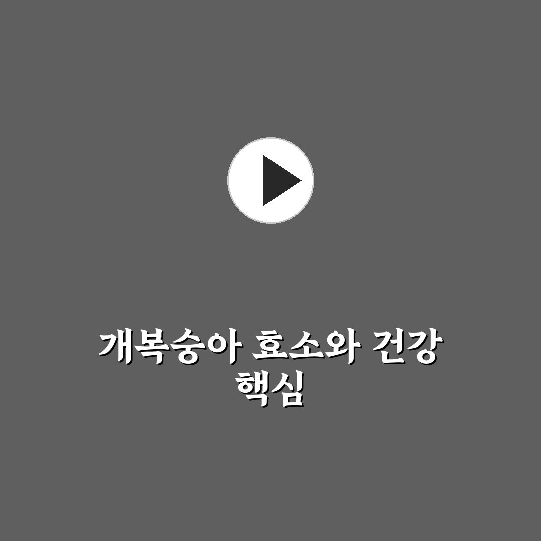개복숭아효소효능과 활용법 꿀팁 알려드려요