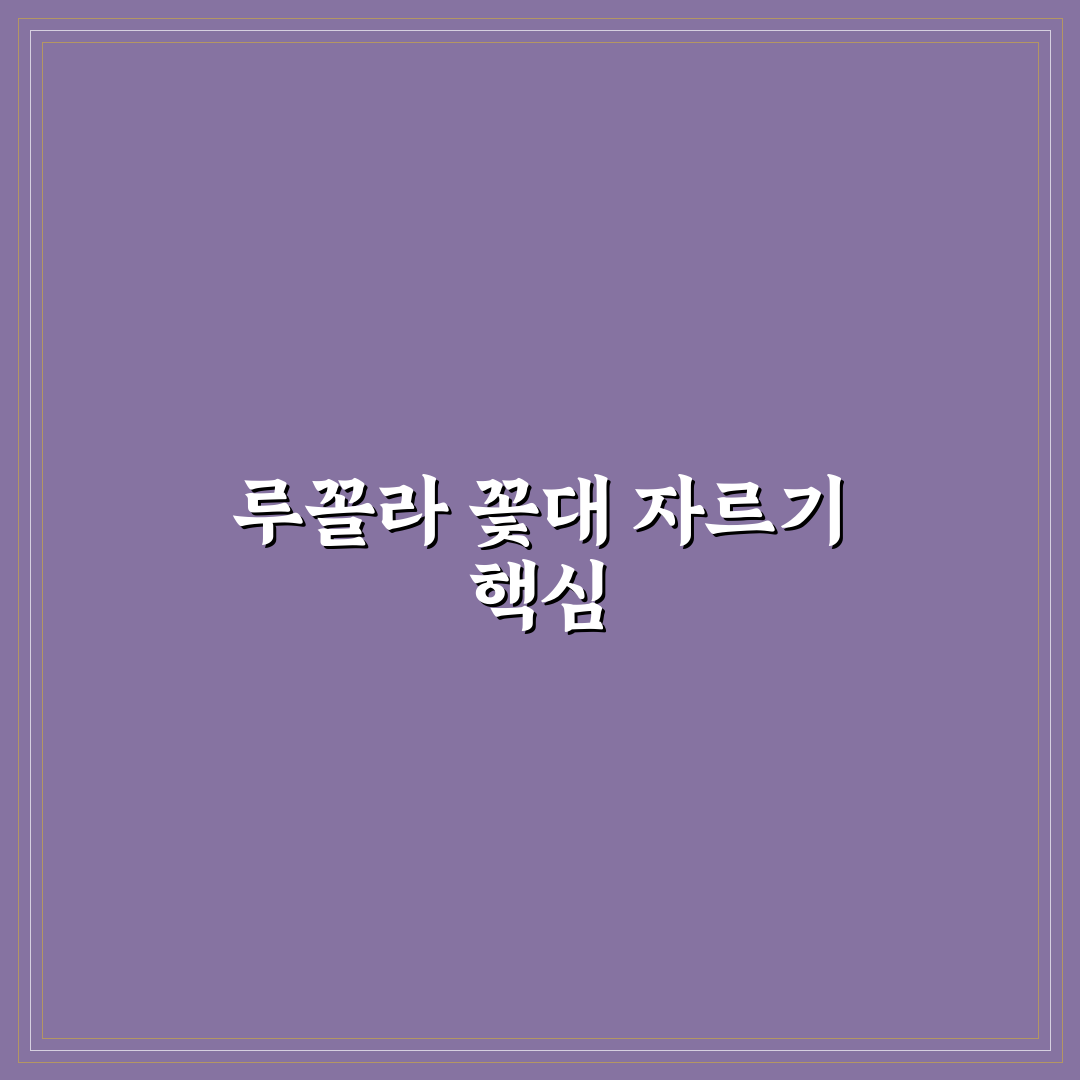 루꼴라 꽃대자르는법 초보자를 위한 꿀팁 정리