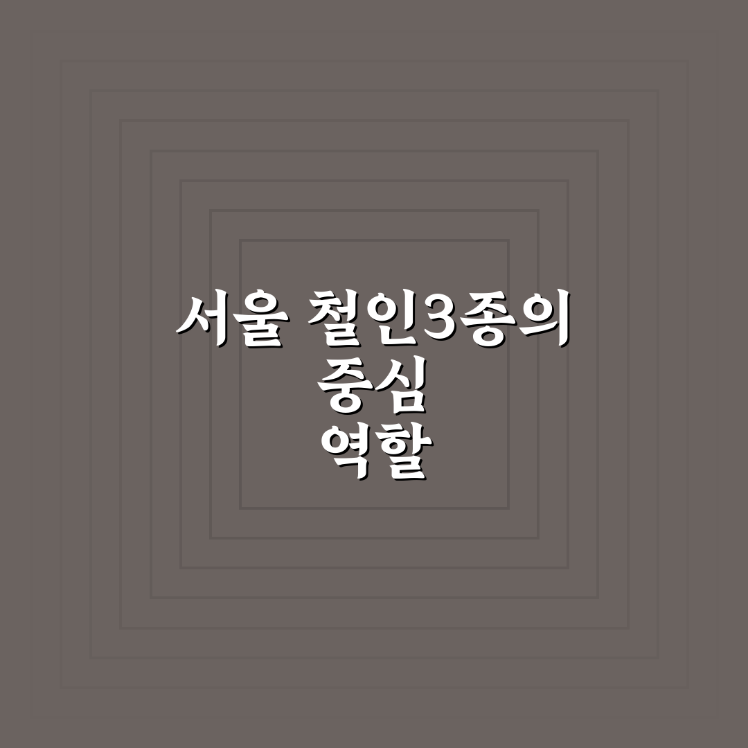 서울특별시 철인3종협회 활동 꿀팁과 참여 방법 정리