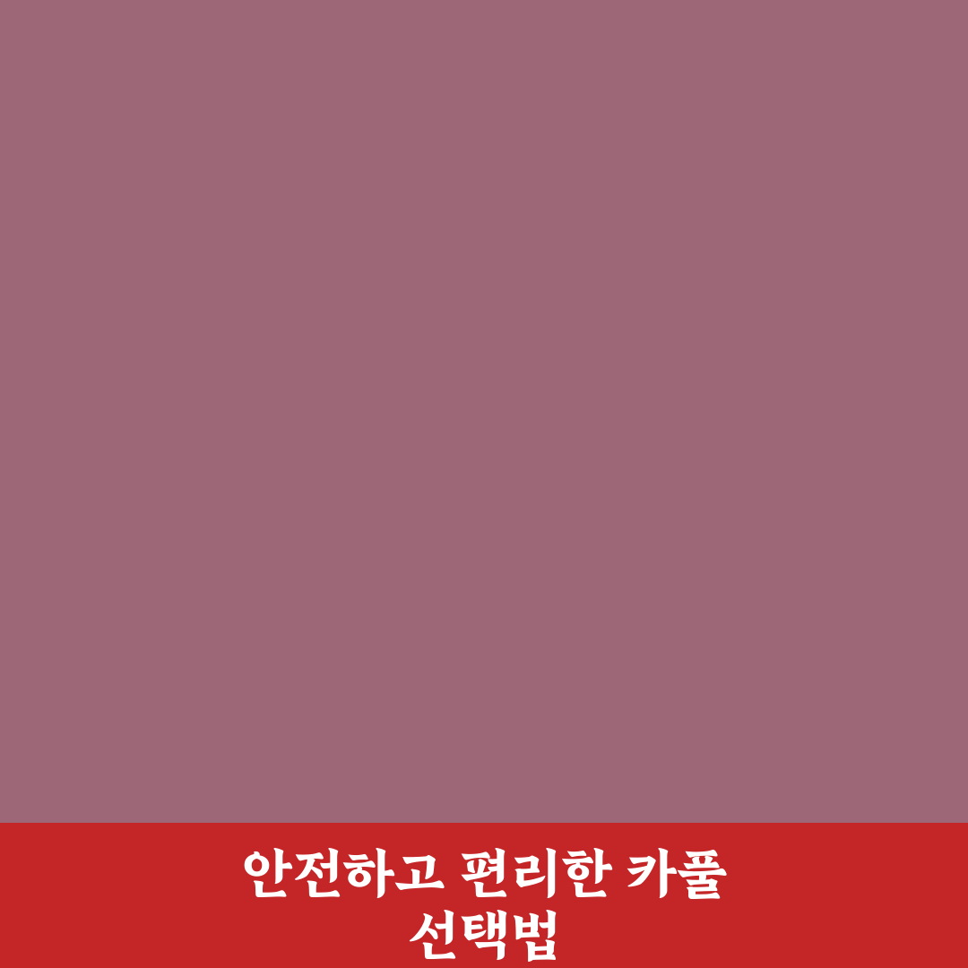카풀 앱 이용 후기와 장단점 비교로 선택 기준 5포인트 핵심가이드