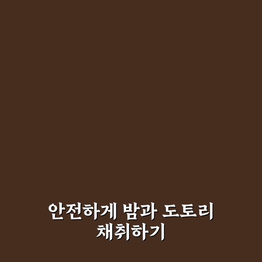 밤 도토리 채취 주의사항 모르고 갔다가 생길 수 있는 일 5가지 체크포인트 총정리