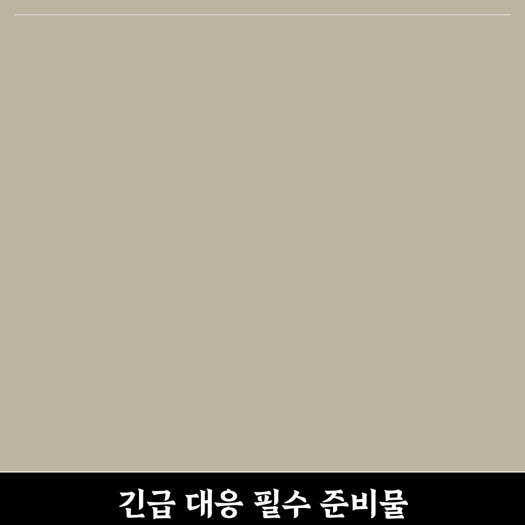 여권 사본 및 사진 준비해두면 긴급 상황 체크포인트 5가지 총정리