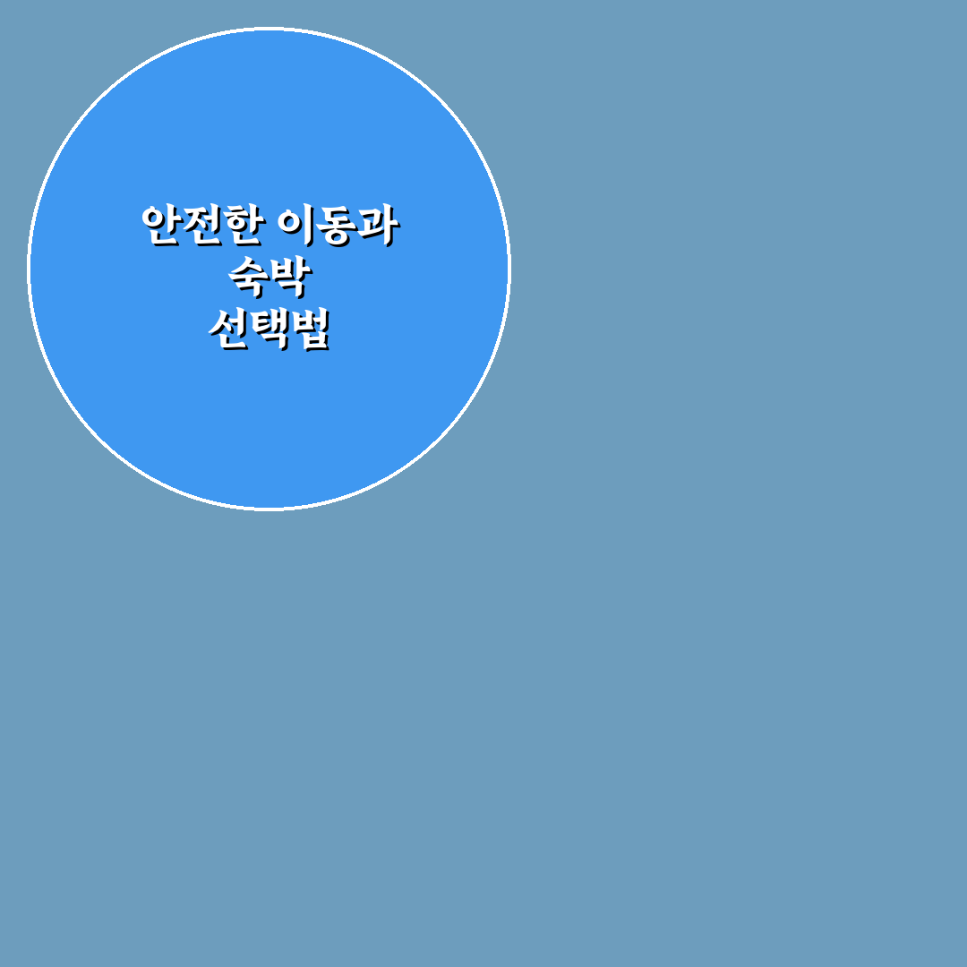 음주 운전 금지 캠페인이 알려주는 숙박 이동 대안 5가지 핵심가이드