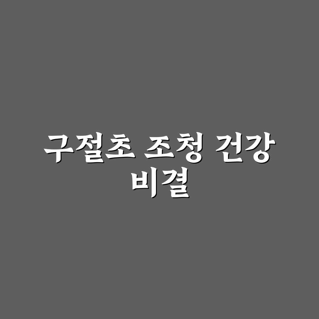 구절초 조청 효능과 섭취 꿀팁 쉽게 알려드려요