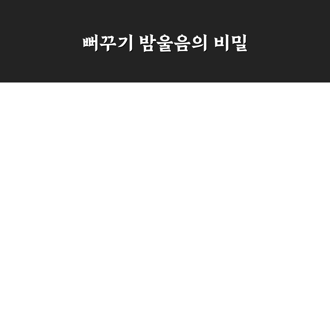 뻐꾸기도 밤에 우는가 ott 사용법과 팁 알려드려요