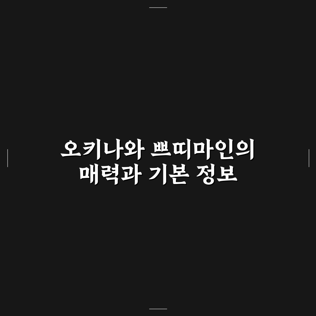 오키나와 쁘띠마인 이용 꿀팁과 추천 여행 코스