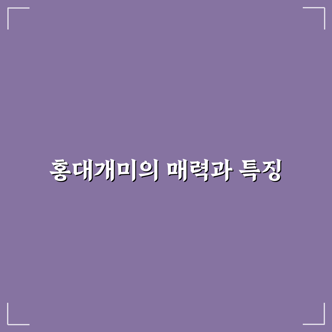 홍대개미 홍대점 방문 전 알아두면 좋은 꿀팁 정리