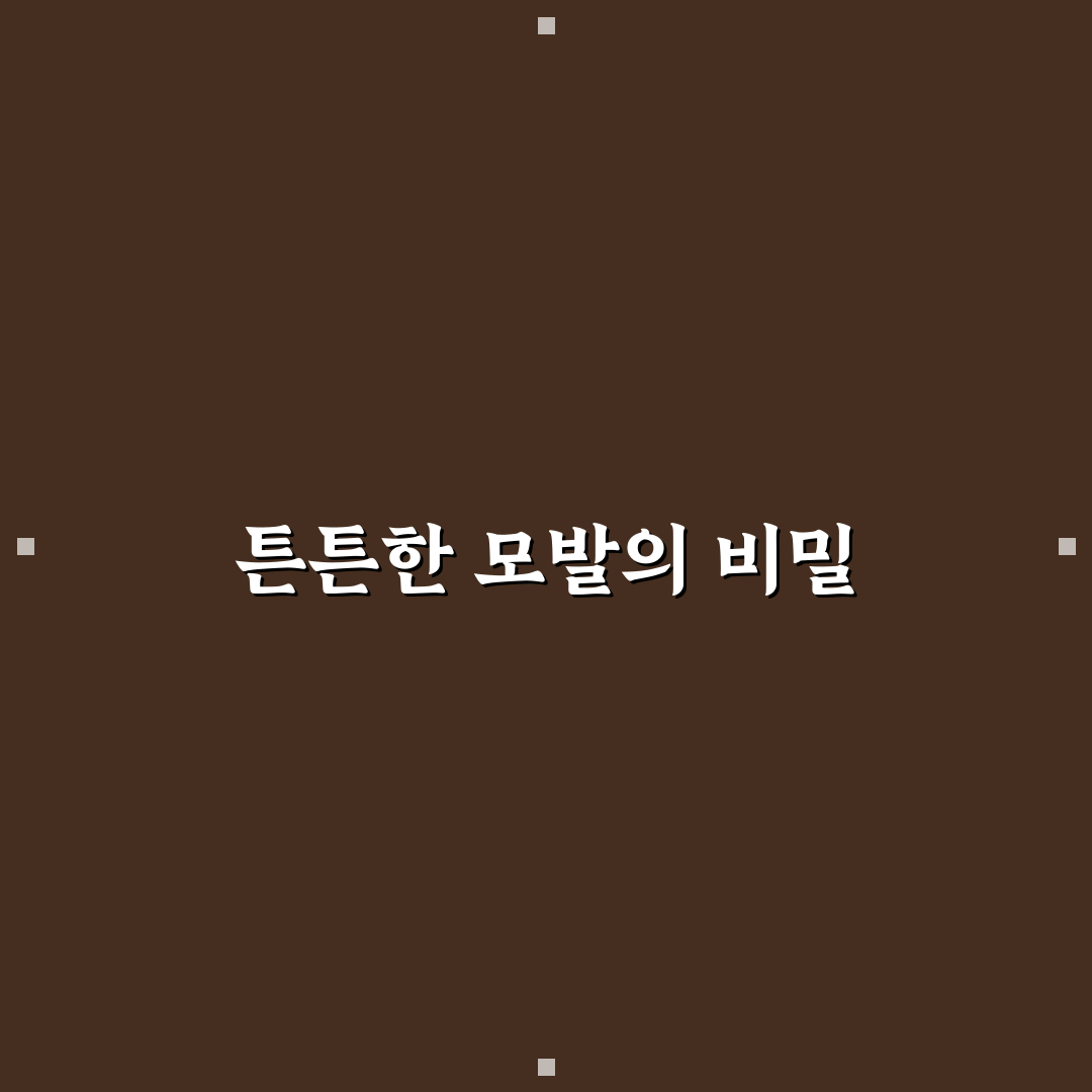 엘라스틴 프로폴리스 샴푸 사용법과 추천 꿀팁 정리