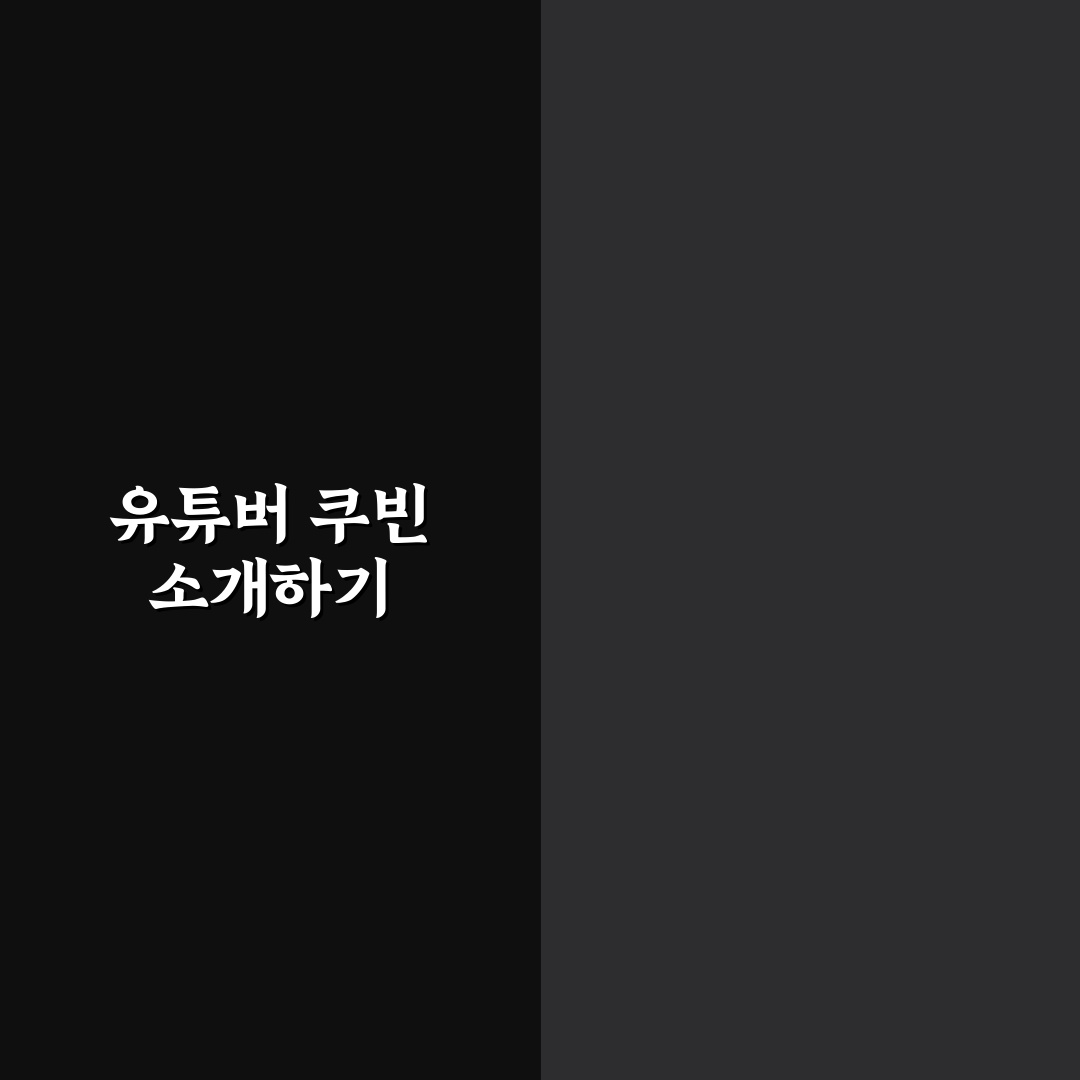 유튜버 쿠빈 초보자를 위한 꿀팁과 활동 정리