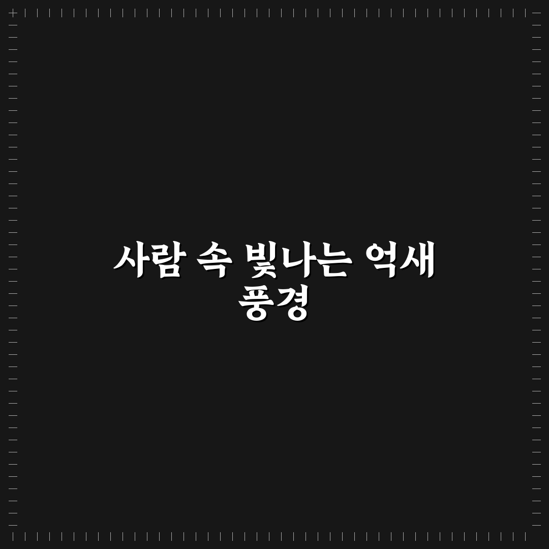 억새 축제 인생샷 팁으로 사람 많아도 예쁘게 찍는 법 5가지 핵심가이드