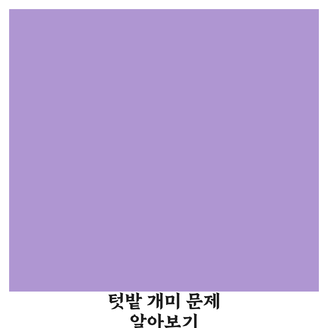 텃밭 개미 퇴치 꿀팁 초보자도 쉽게 따라하기