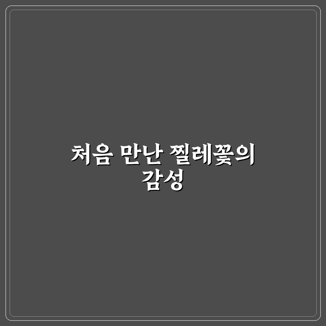 찔레꽃 가사 노래 직접 들어보니 느낌이 남달랐어요