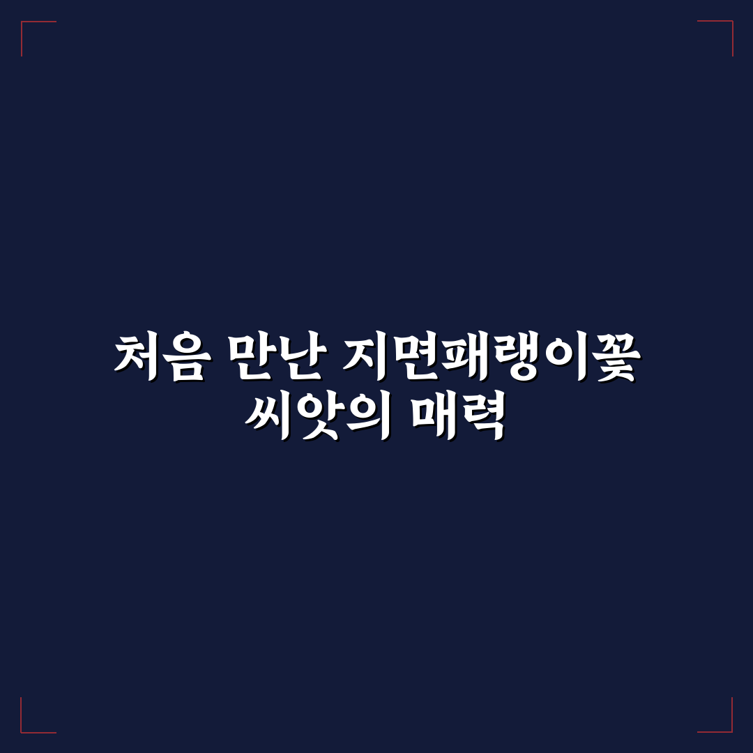 지면패랭이꽃 씨앗 사용기, 직접 키워보니 달랐던 점