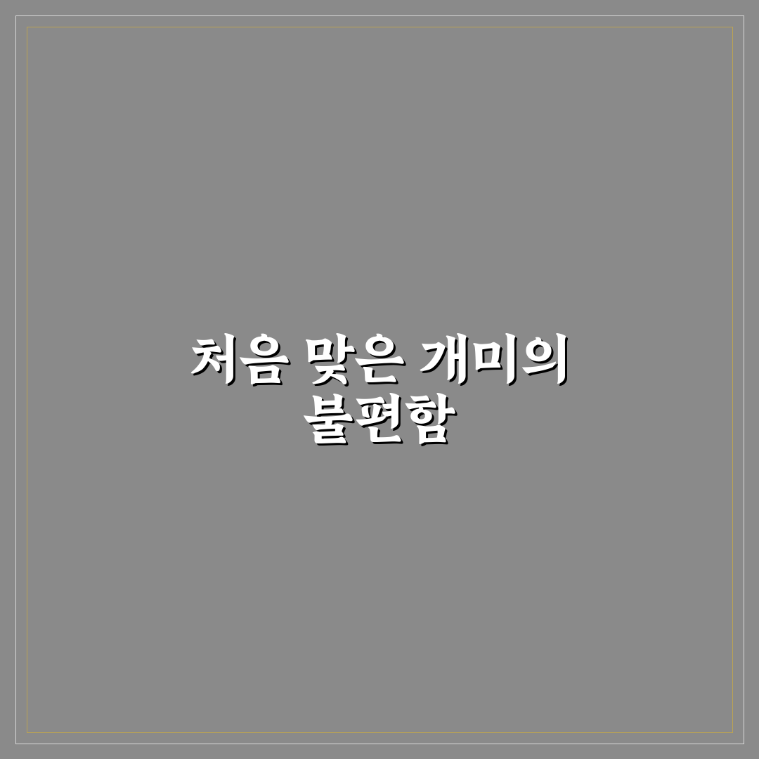 개미 물림 따가움 후기, 직접 경험해보니 불편했던 점