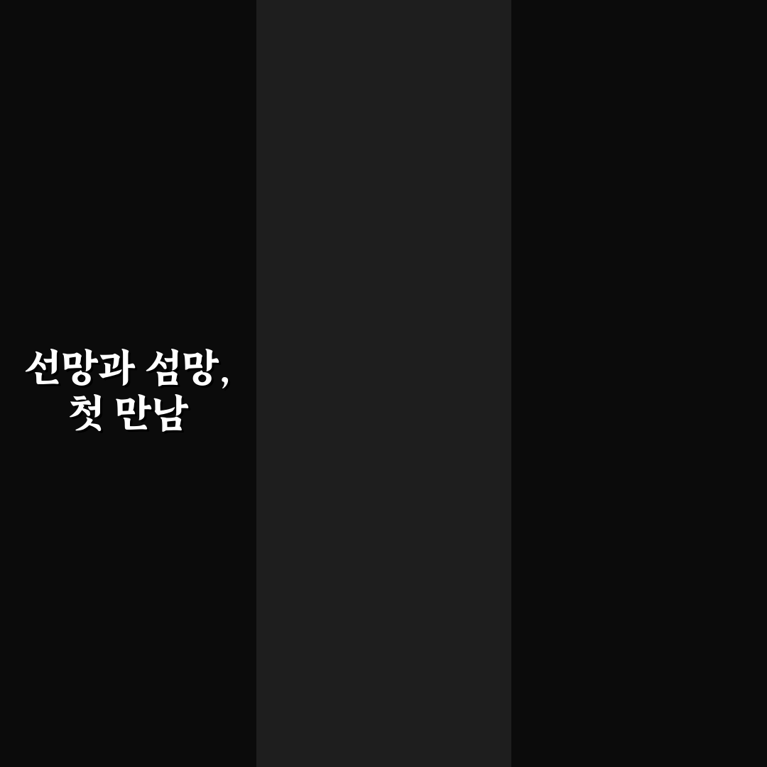 선망 섬망 차이 직접 알아보니 혼동되는 부분 정리